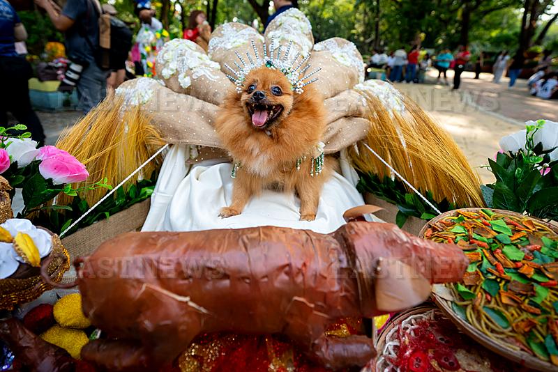 Pets Take Centerstage In Flores De Mayo
