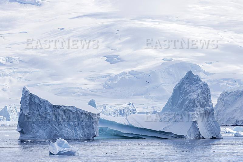Antarctica, The Netherlands