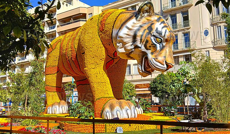 92e Fete du Citron / 92nd Lemon Festival in Menton: Merveilles du vivant - Preparations