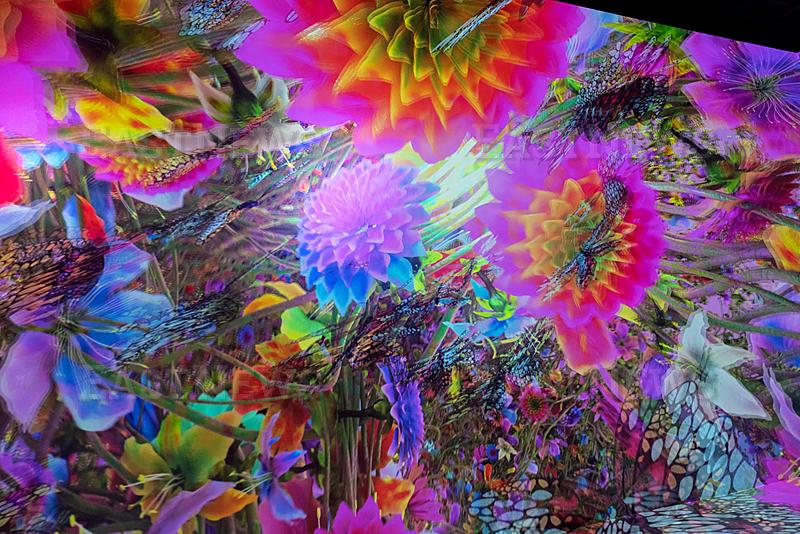 US: Media day preview for `Blooming Wonders` at Artechouse