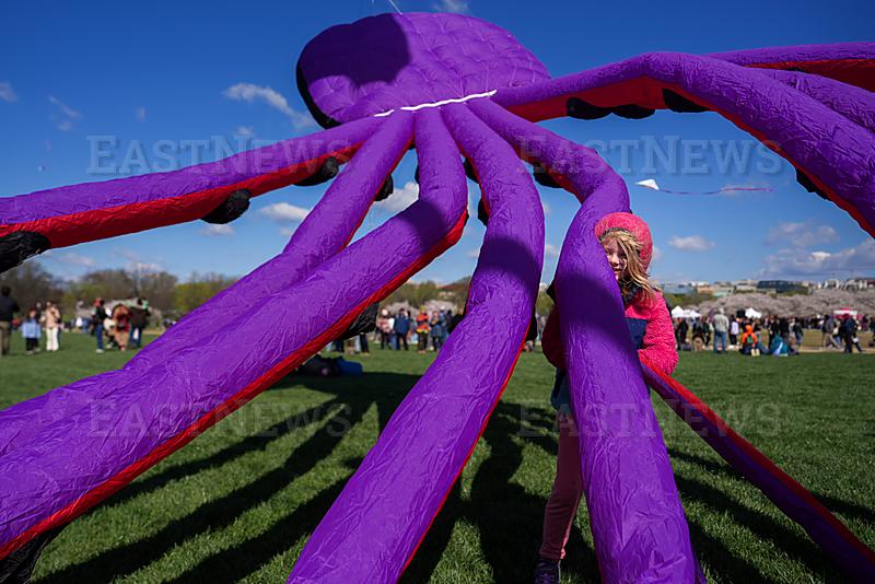 Cherry Blossom Kite Festival